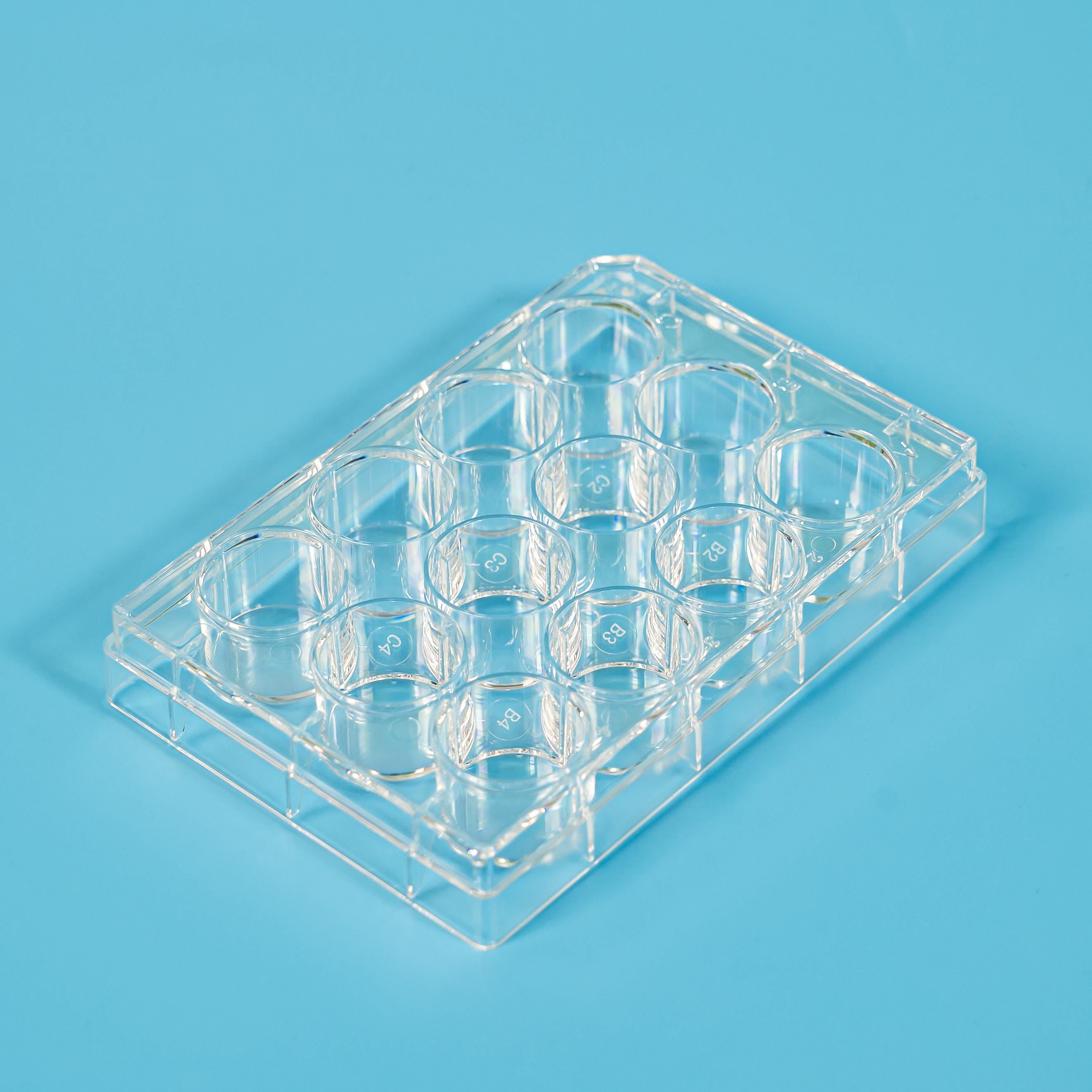 2. CCP-12H、CCP-12N.png