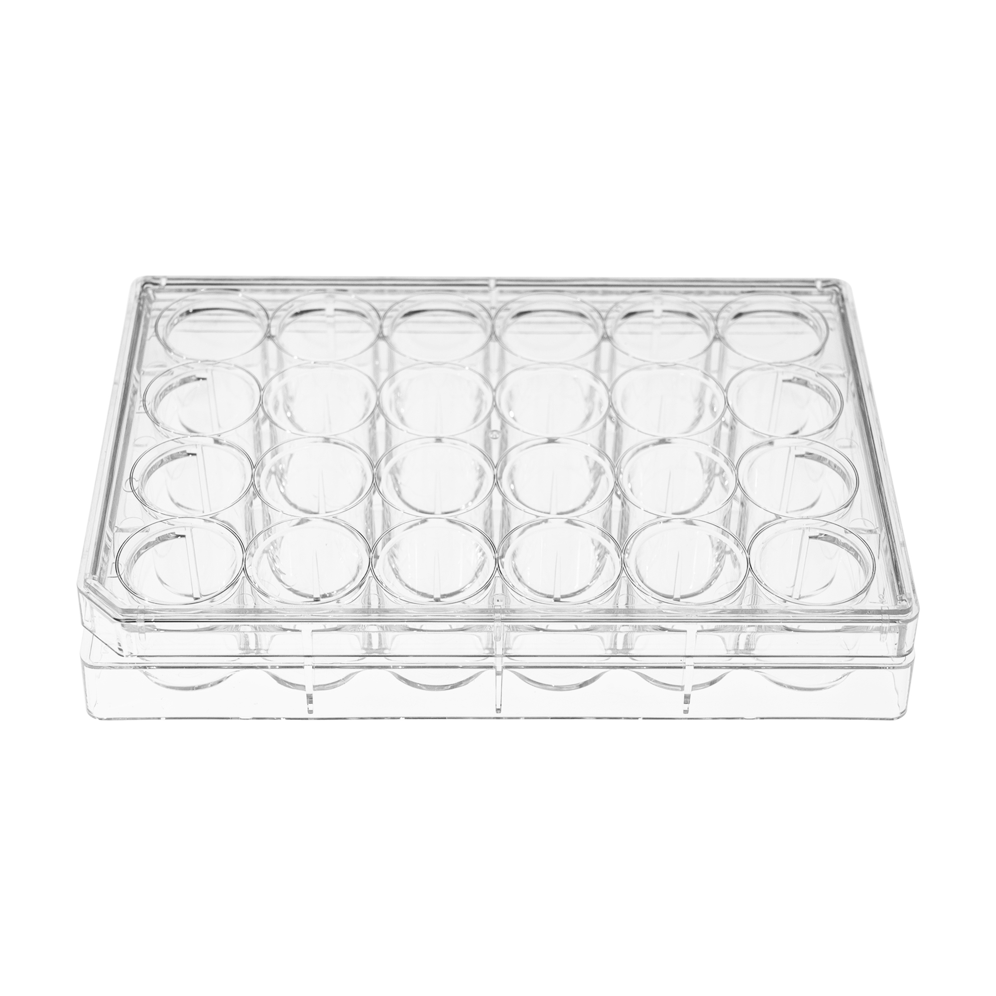 3. CCP-24H、CCP-24N.jpg